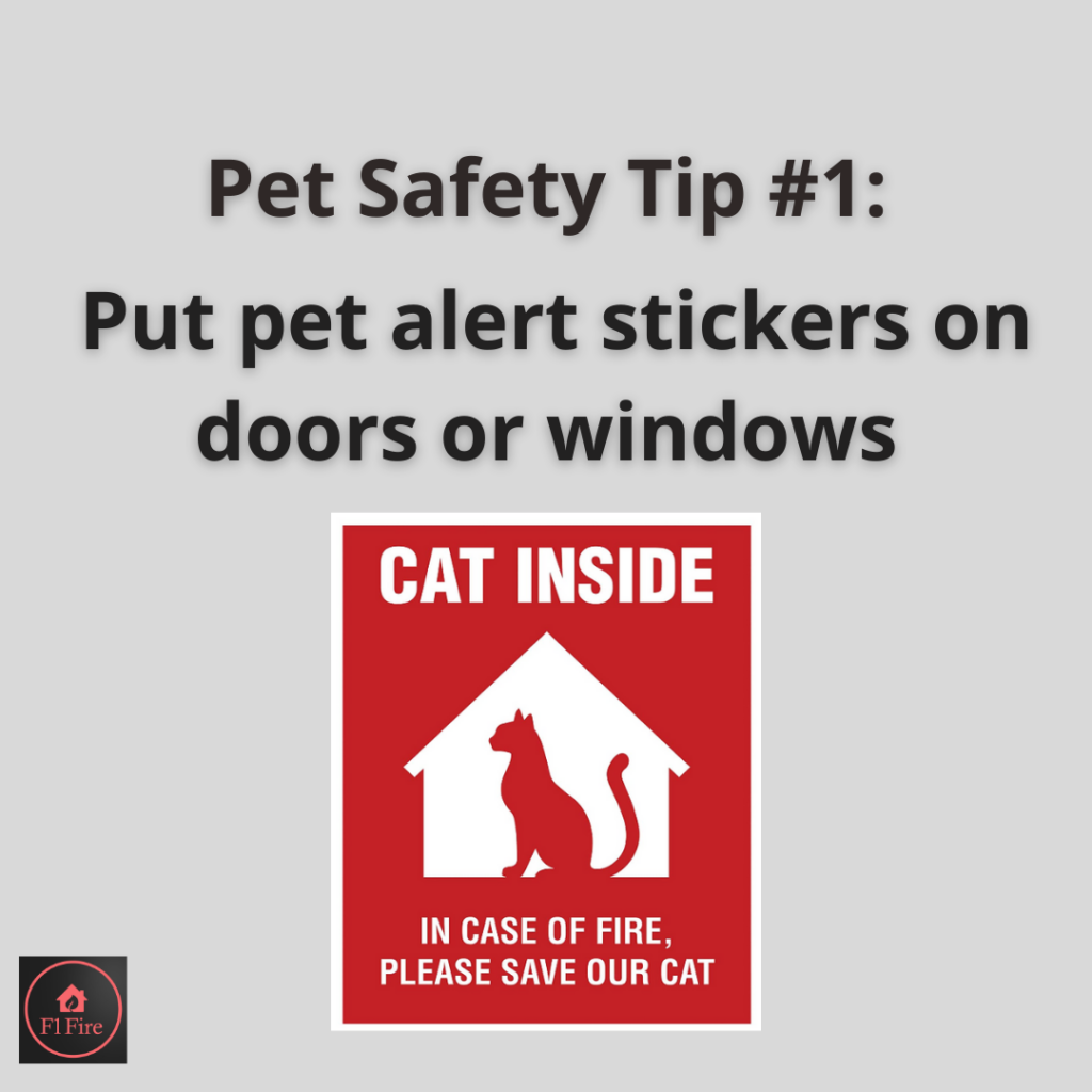 Pet Safety 1 1024x1024